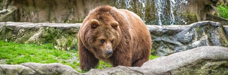 Objevte to NEJ ze Slovenska: 9 nejkrásnějších zoologických a botanických zahrad