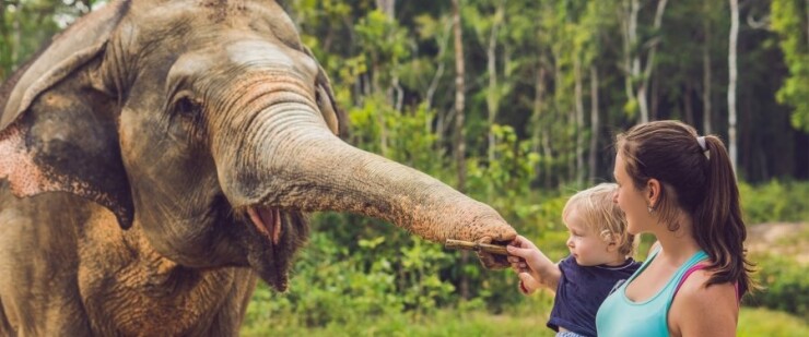 Objavte to NAJ z Maďarska: 5 NAJparádnejších zoologických záhrad pre deti i dospelých