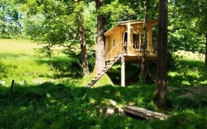 Treehouse LEA