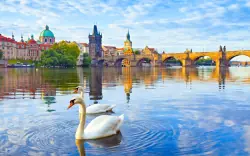 Praga
