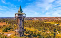Przyroda w okolicy