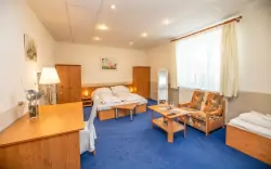Pokój, Hotel Allvet ***, Morawy Południowe