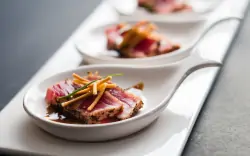 Restaurace, Hotel Vivat *****, Moravske Toplice