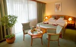 Pokój standardowy, Hotel Palace ****, Hévíz