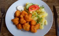 Restaurace, Camping Rožnov pod Radhoštěm