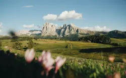 Seiser Alm, Dél-Tirol, Olaszország