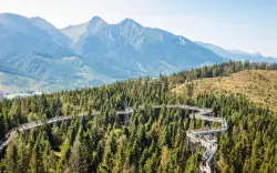 Białe Tatry przy Ścieżce w Koronach Drzew w Pensjonacie Šilon ze śniadaniem + zniżki do wellness 