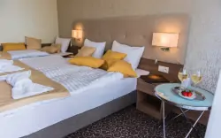 Prémium szoba, Hotel Thermalpark ***