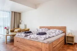 Hotelový pokoj, Regenerační centrum IRIS,  Poděbrady, Poděbrady, Česko