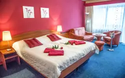 Pokoj, Hotel Centrum Harrachov, Harrachov, Krkonoše