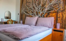 Pokój dwuosobowy, Hotel Alf ***, Borovany, Czechy Południowe