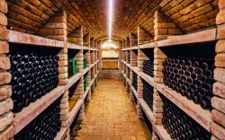 Vinařský pobyt na jižní Moravě u Znojma ve Vinařství Lintner s řízenou degustací, občerstvením a snídaněmi
