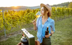 Na wino tylko na południowe Morawy