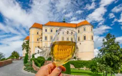 Mikulov a okolie, Južná Morava