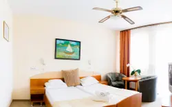 Pokoj Standard, Hotel Venus ***superior, Zalakaros