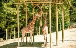 Zámek a Zoo Lešná u Zlína