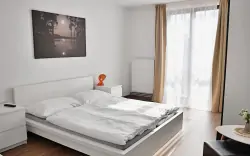 Apartmán, Hotel Orlík **** u Orlické přehrady