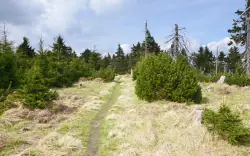 Na krásné procházky to nebudete mít daleko