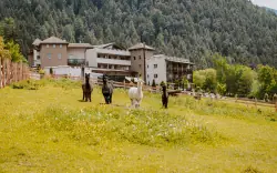 Dovolená pro celou rodinu v Jižním Tyrolsku: 4* Hotel Bergschlössl se snídaní/polopenzí a wellness + miniklub