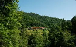 BIO Hotel Mauthäusl ***, Schneizlreuth, Německo