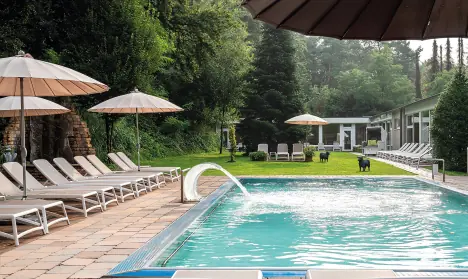 Wellness, Waldhotel Tannenhäuschen ****superior, Nemecko