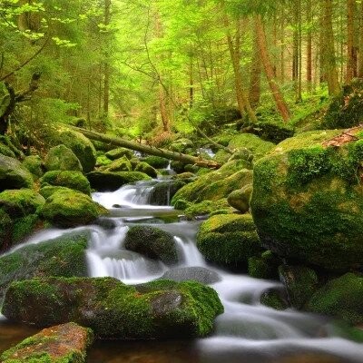 Šumava