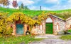 Bor, szőlőskertek, Dél-Morávia
