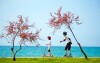 Sport, Aminess Hotel Laguna ***, Novigrad, Chorwacja