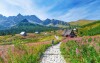 Polskie Tatry