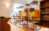 Restaurace, Pytloun Wellness Hotel Hasištejn ****