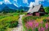 Polské Tatry