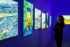 Výstava Vincent Van Gogh: Mezi klamem a zázrakem v Berlíně 