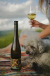 Wino, Hotel Kopanice **** Žítková, Białe Karpaty