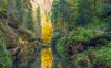 Nemzeti park Cseh Svájc