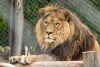 ZOO ve Dvoře Králové