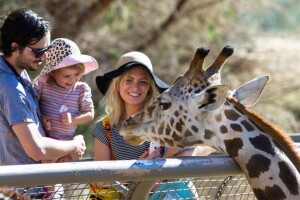 Zoo Sóstó
