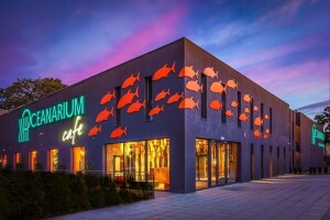 Oceanarium v Mezizdrojích