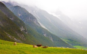 Zillertalské Alpy