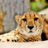 Zoo Olomouc