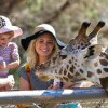 ZOO Sóstó