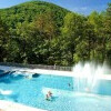 Kúpalisko a wellness Zelená žaba
