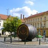 Město Žatec