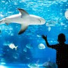 Oceanarium Kołobrzeg