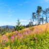 Gorczanski Nemzeti Park