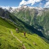 Alexander Enzinger Trail