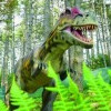 Dino i park linowy Terchowa