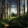 Krajinný park Przemkow