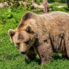 ZOO Miskolc
