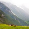 Zillertal-Alpok