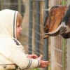 ZOO PARK Vyškov